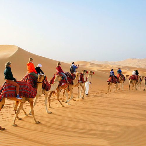 camel-trekking-in-abu-dhabi-01